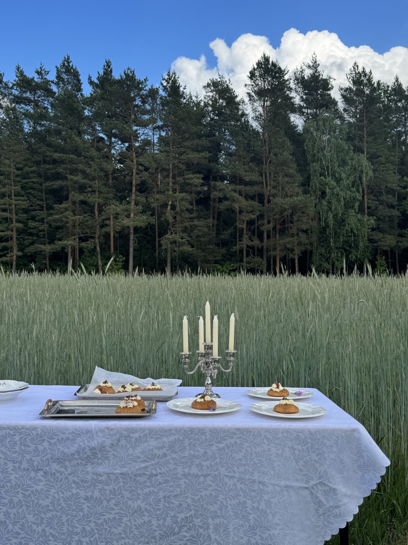 Dessert table with candles in a field for private dining on the French Riviera